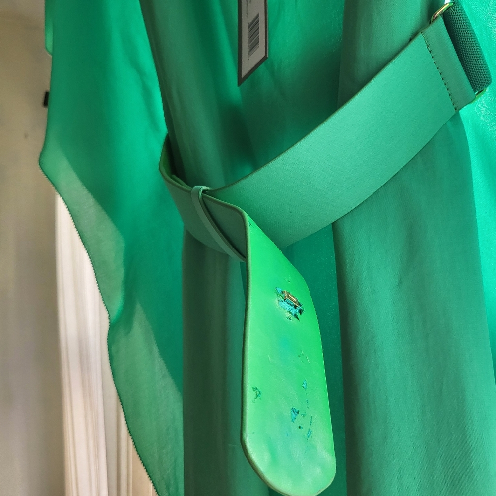 Dress - Picture 6 of 7